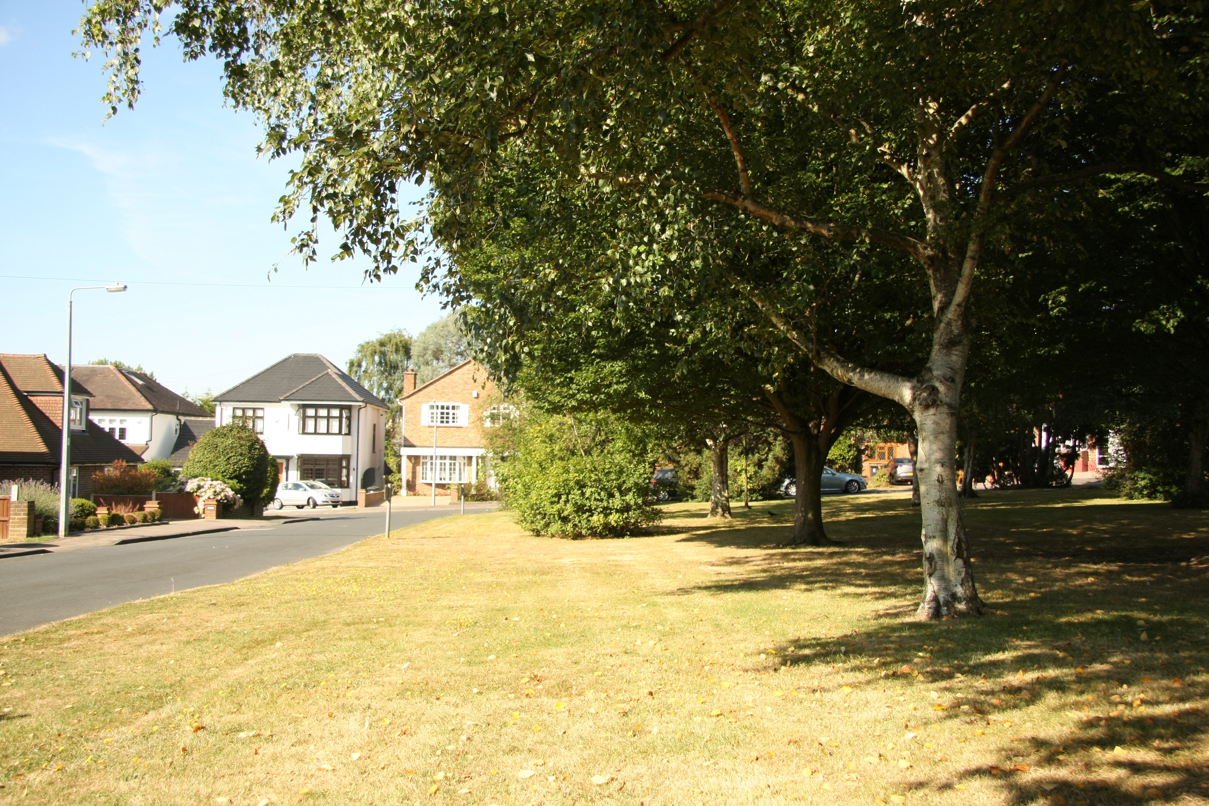 lee grove 02.jpg